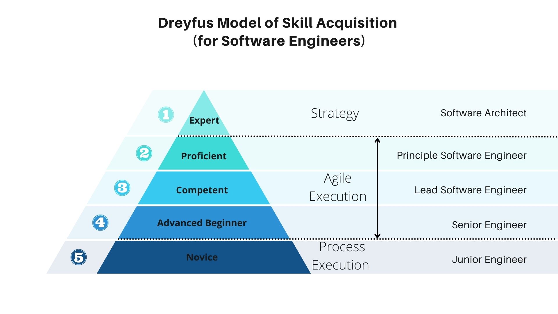 dreyfus model of skill acuisition for software engineers